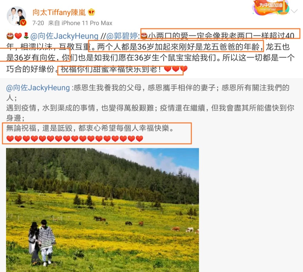 郭爸|郭碧婷被指已经平安生产？郭爸直接回应：明明就是狗玩具，这都能编也是醉了