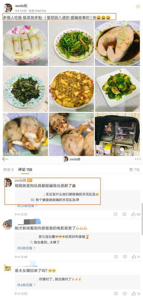 郭爸|郭碧婷被指已经平安生产？郭爸直接回应：明明就是狗玩具，这都能编也是醉了