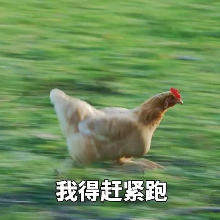 玛哈·哇集拉隆功|从护士到贵妃再到阶下囚，如今又逆袭夺回称号，这个泰妃不简单