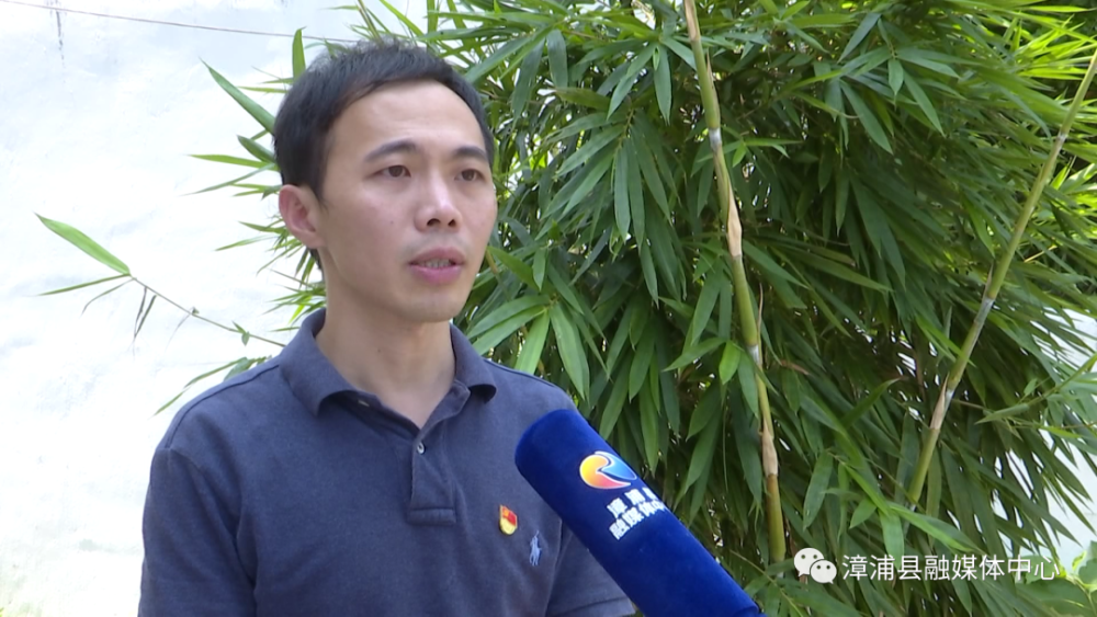 【奋战下半年 勇夺双胜利】南浦:办好民生实事 推动乡村振兴_腾讯新闻