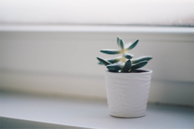 格物日记 真心付出终有回报 英语