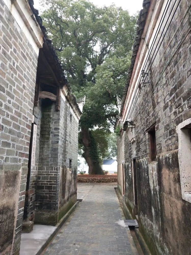 永新这个村入选全国乡村旅游重点村名录乡村名单!