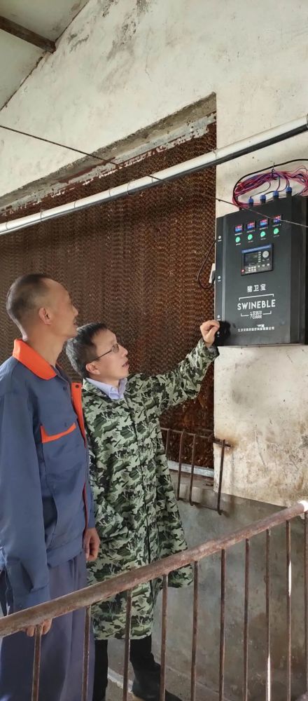 生猪|清华留美高材生归国养猪扶贫，创业一年已有机构估值十几亿