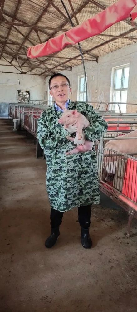 生猪|清华留美高材生归国养猪扶贫，创业一年已有机构估值十几亿