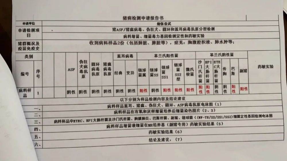 生猪|清华留美高材生归国养猪扶贫，创业一年已有机构估值十几亿