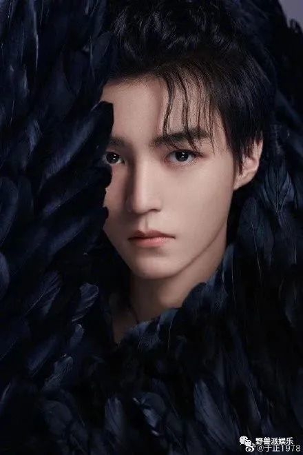 于正|请问，这算打脸了吗？