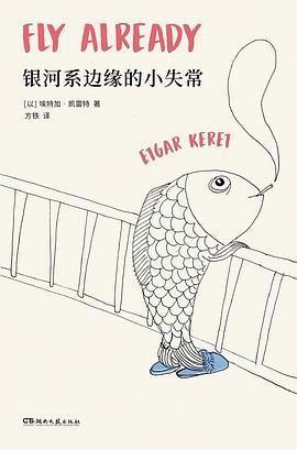 埃特加·凯雷特|埃特加·凯雷特 以色列书店失窃率最高的作家