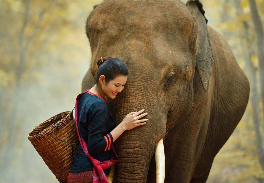 晓兰胖甜|【方志四川 诗词】晓兰胖甜‖美丽的西双版纳