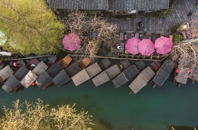 江南|新刊 镇·江南