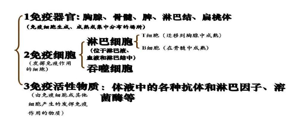 提高身体免疫力 为什么要补充免疫球蛋白 腾讯新闻