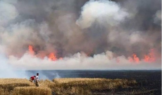 北极地区|北极还在“发高烧”，更可怕的还在后面，科学家担心恶性循环