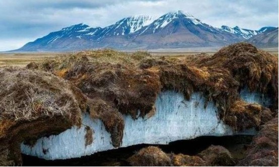北极地区|北极还在“发高烧”，更可怕的还在后面，科学家担心恶性循环