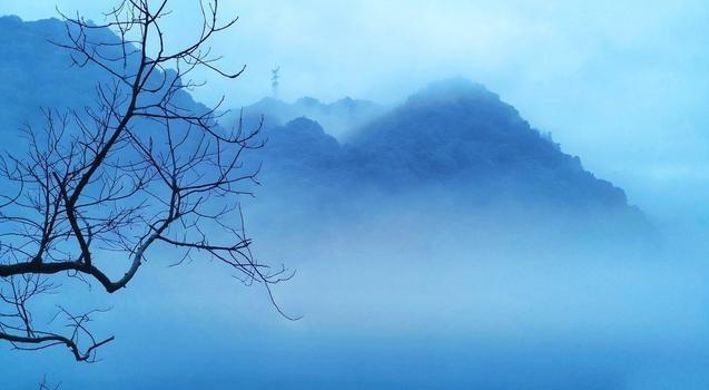 国风·王风·采葛|“一日不见如隔三秋”——《国风·王风·采葛》赏析