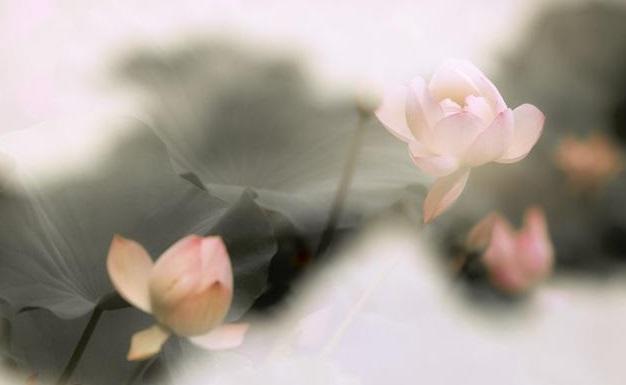 国风·王风·采葛|“一日不见如隔三秋”——《国风·王风·采葛》赏析