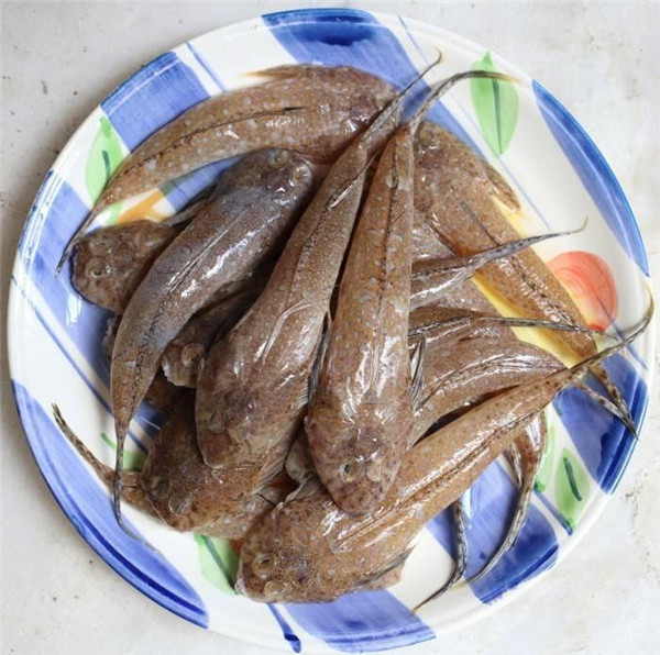 在潮汕有一种海鱼,土名叫鸡腿鱼,做好以后汤腥肉鲜,只能吃鱼肉