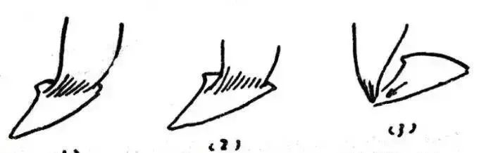 书法|书法三大用笔秘籍