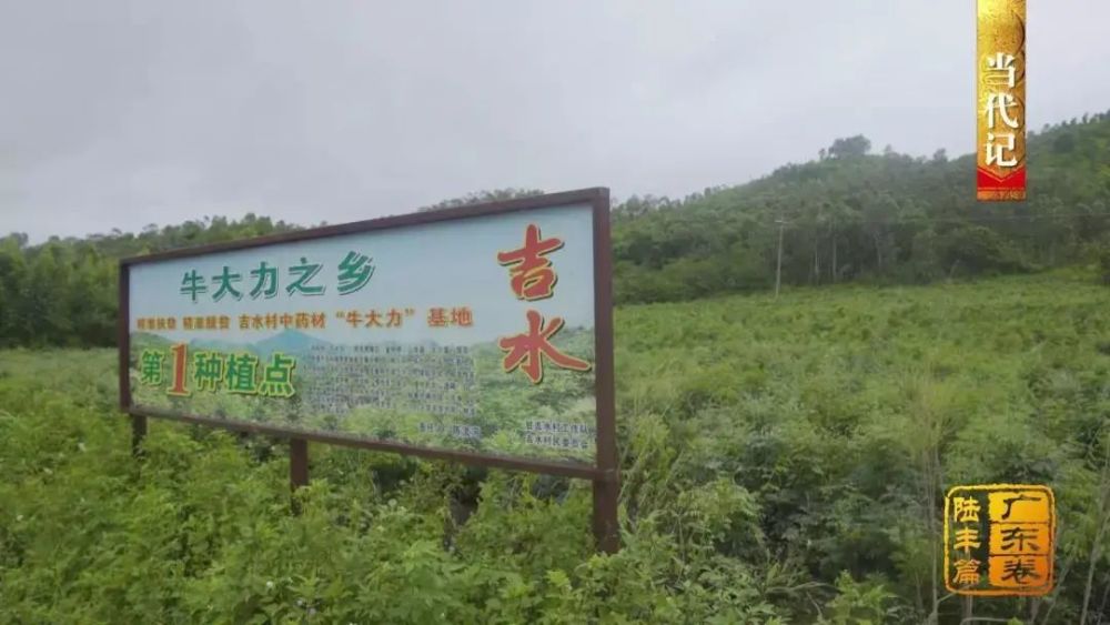 陆丰市|陆丰：海防前线守家卫国盖仔狮拙朴雄武 皮影戏传承创新忠勇大义故事流传