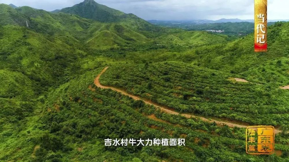 陆丰市|陆丰：海防前线守家卫国盖仔狮拙朴雄武 皮影戏传承创新忠勇大义故事流传