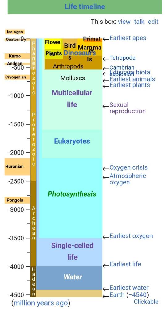 外星人|谁会是更高等的，外星人还是我们？