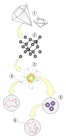 宇宙|时空的涟漪可以解释宇宙的神秘存在