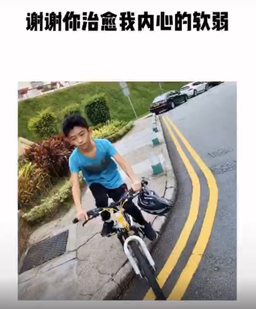 张柏芝|张柏芝长子社交账号首曝光，个人简介超霸气，正能量满满