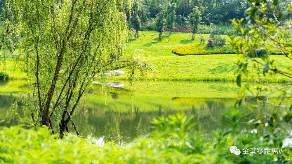 代表著萌發新生經過暴風雨洗禮後的公園走進楊溪谷溼地公園映入眼簾的