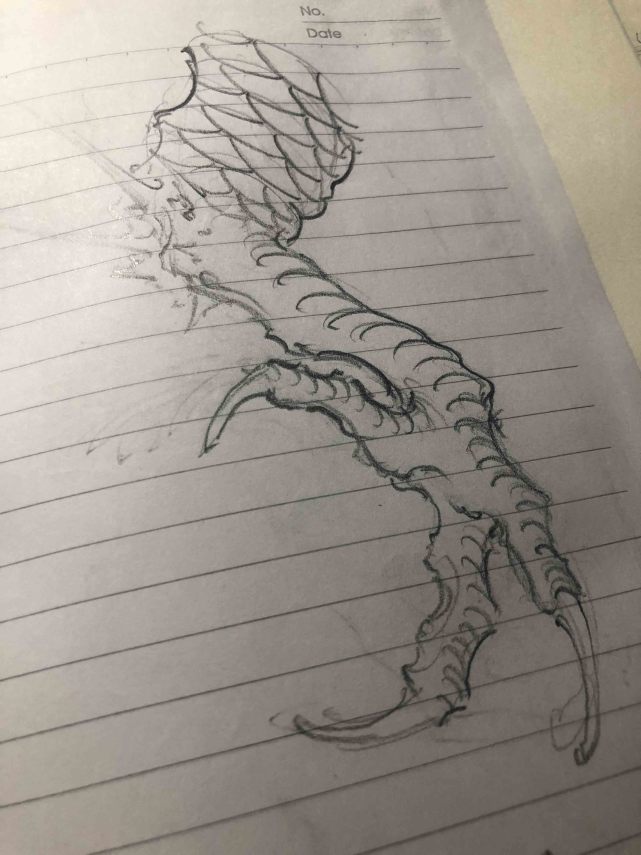 中国龙《画龙笔记》龙爪研究记