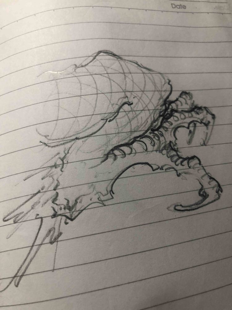 中国龙画龙笔记龙爪研究记
