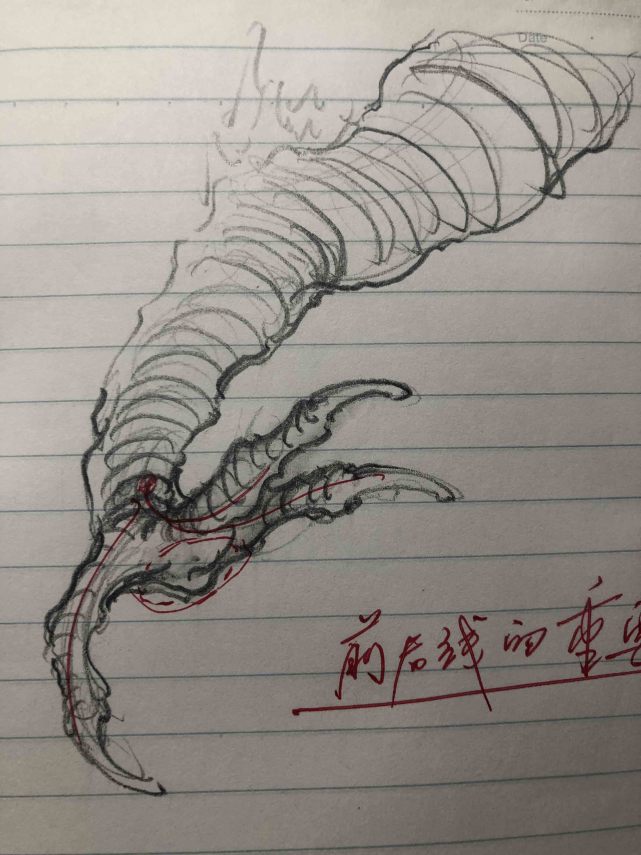 中国龙《画龙笔记》龙爪研究记