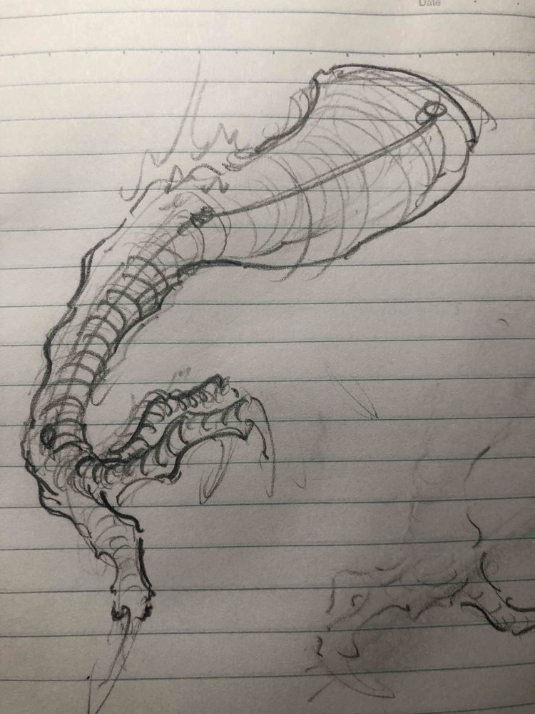 中国龙画龙笔记龙爪研究记