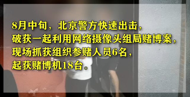 安全|利用网络摄像头组局？网警为您揭秘新型赌博猫腻！