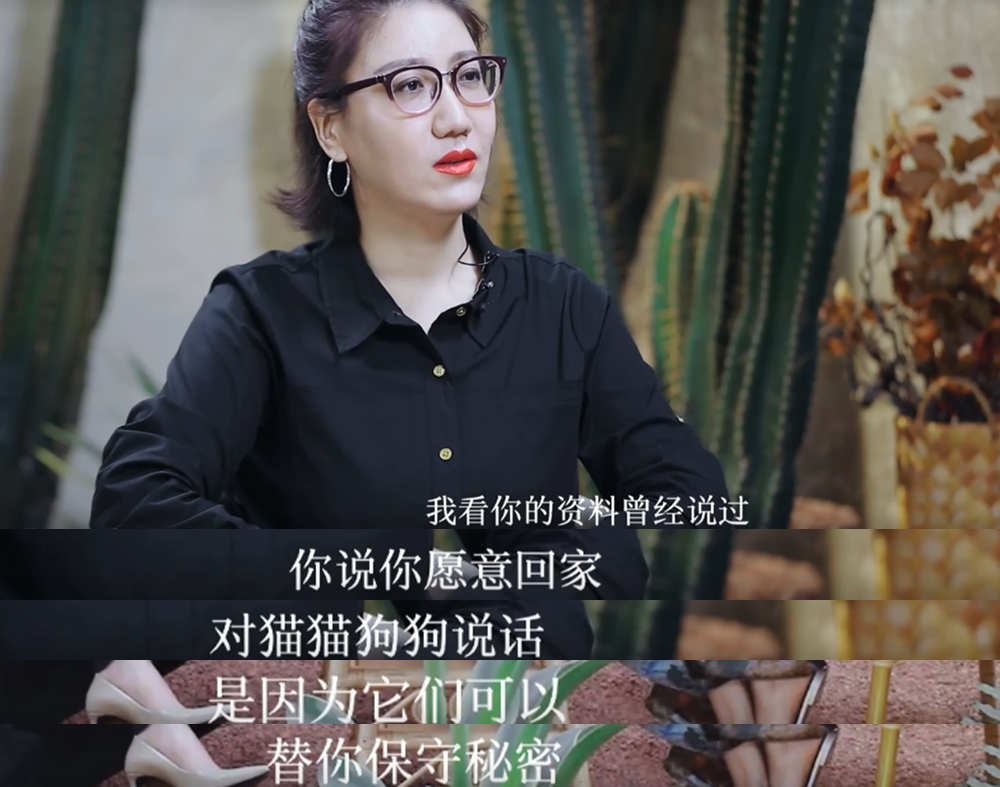 黄龄|黄龄工作室回应争议，疑正面怼宁静，宁愿跟猫狗聊天不想跟人交流