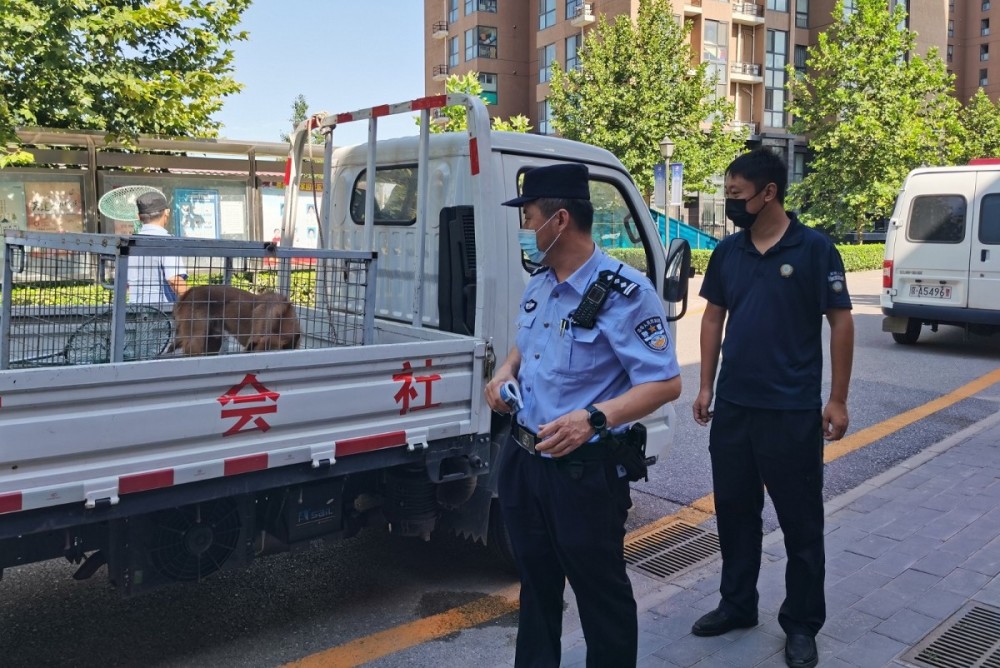 民警|危急时刻民警如“神兵天降”，怎么做到的？揭秘派出所“CPU”