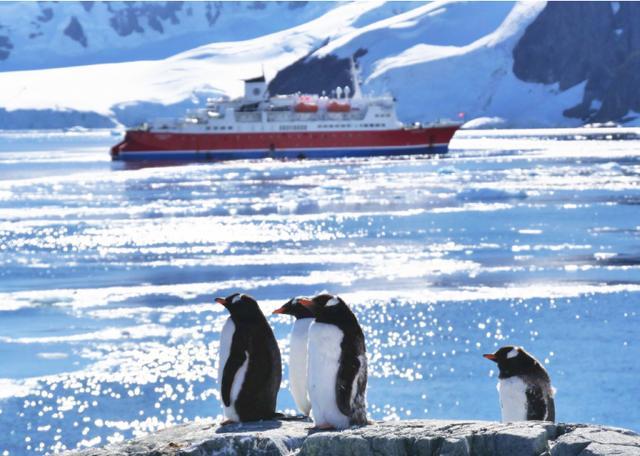 全球变暖|从企鹅拉屎，到全球变暖，科学家：这泡屎很重要！