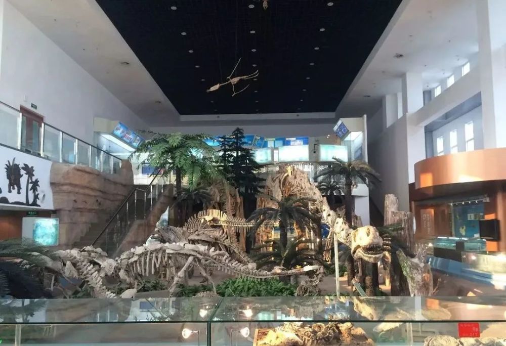 航空航天博物馆|那些隐匿在高校里的“博物馆”