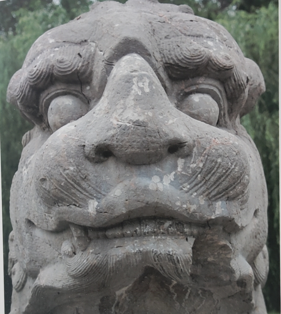 皇陵|微观精彩！凤阳这里你有如此精细地看过吗？