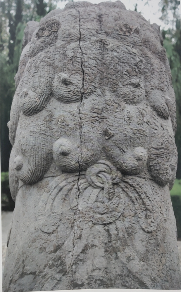 皇陵|微观精彩！凤阳这里你有如此精细地看过吗？