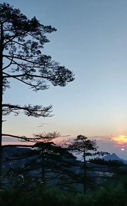 齐娇|齐娇难舍豪门生活？赌王前儿媳离婚后首晒照，与友人爬山难掩落寞