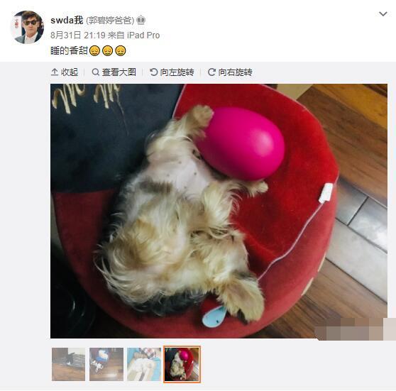 郭碧婷|向佐发偷笑表情点评郭爸爸手艺，力证已到台湾陪郭碧婷待产