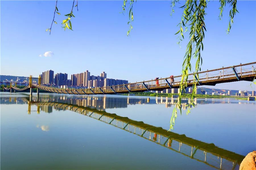 渭河懸索橋▲蟠龍大橋夜景▲石鼓廊橋▲神農大橋▲金渭之會▲西寶