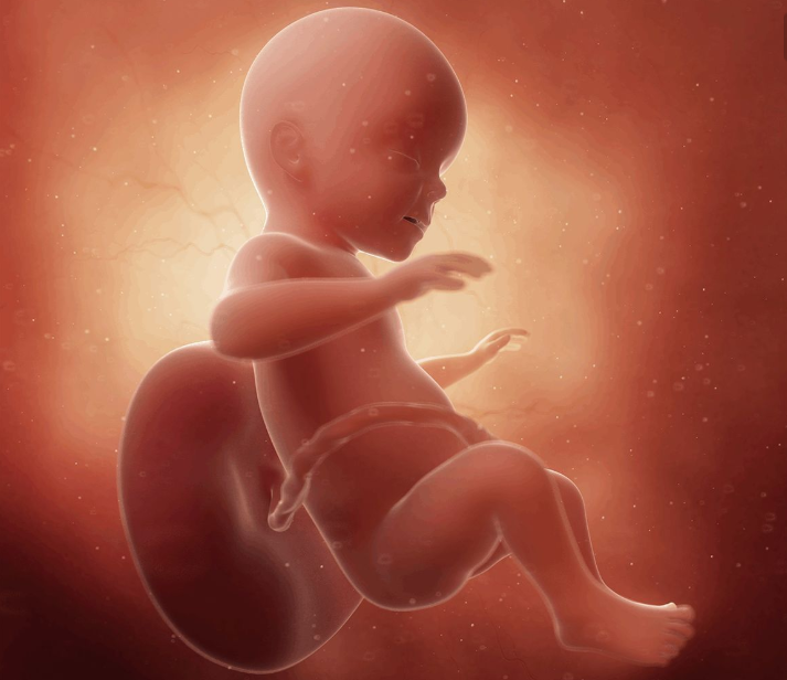 那么就有可能出现一只脚出来了,另外一只脚卡住,就会出现难产的危险