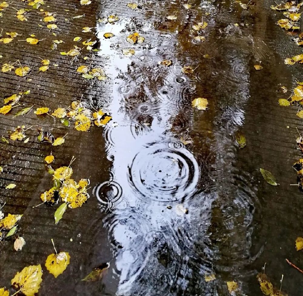 秋雨 被古人 诗 到了极致 明月几时有 腾讯新闻