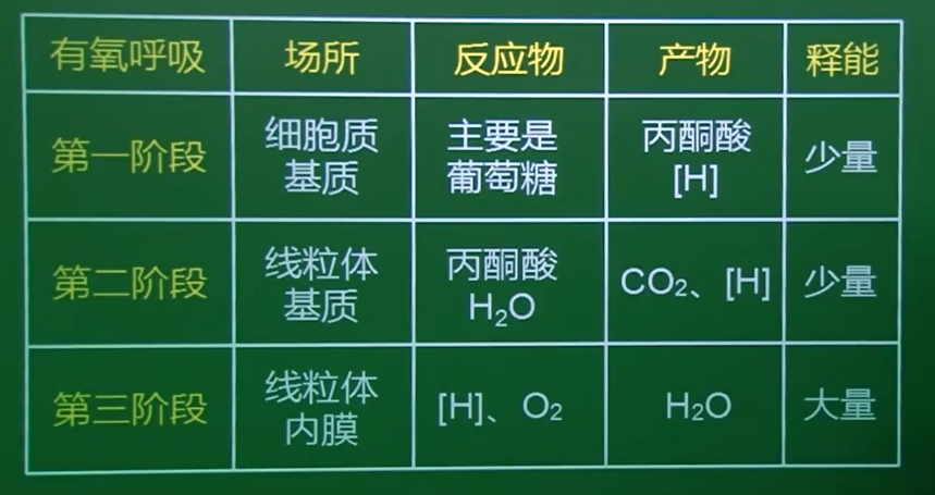 达尔文|如果达尔文没错，为何动物不呼吸氮气？答：土更多，为何吃肉