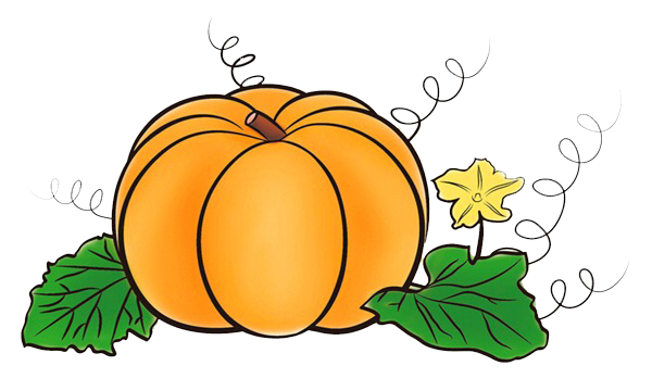 简笔画南瓜简单学会