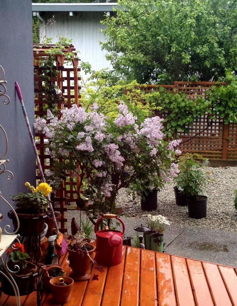 13个迷你庭院花园设计案例小面积院子也能让人百看不厌