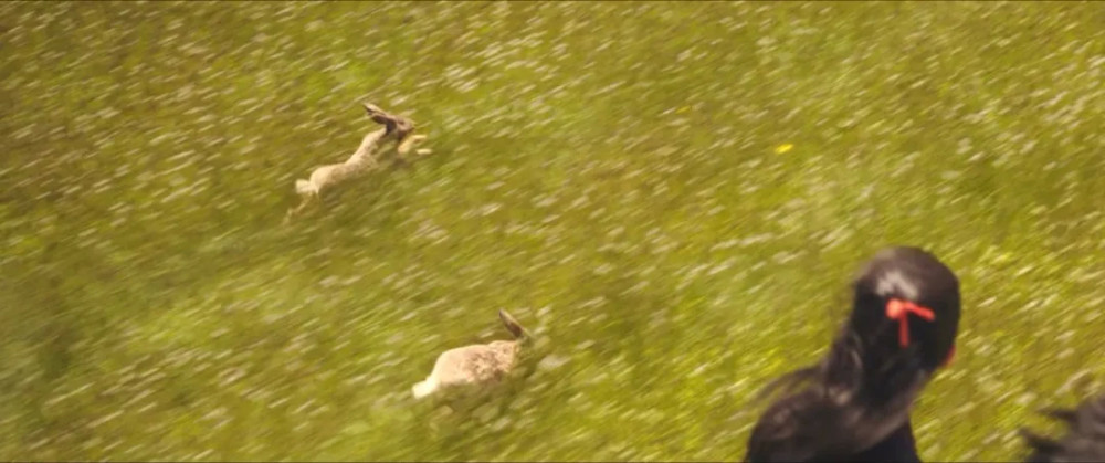 花木兰|刘亦菲《花木兰》上线引争议，观众评价：李连杰、巩俐角色太失败