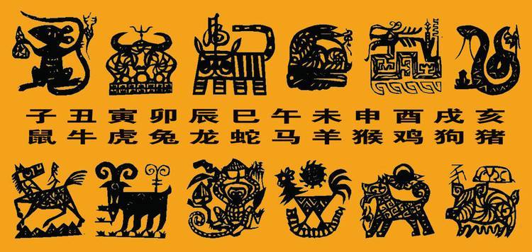 地球|龙到底存不存在？科学家已经发现，地球上存在“与龙相似”的生物