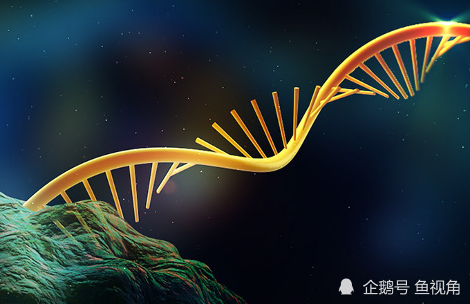 水熊虫|水熊虫是地球最强？生存了8000万年、只有雌性的轮虫表示不服！