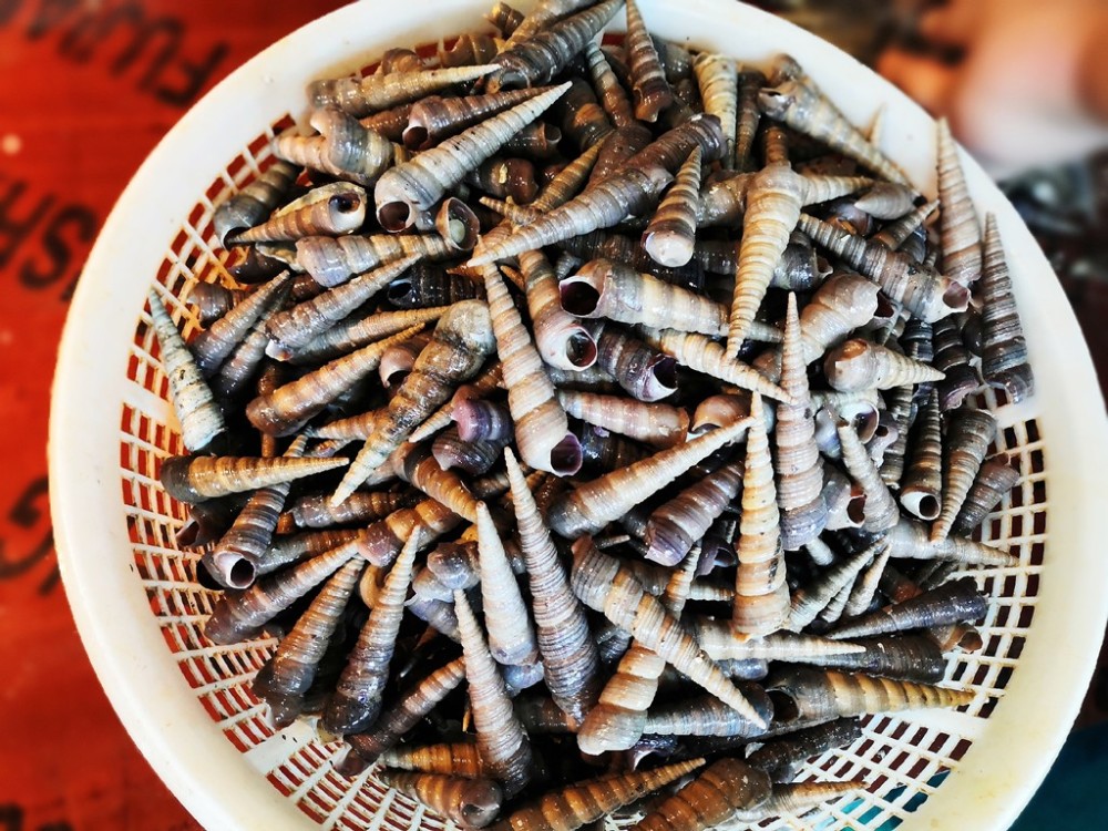 "辣炒钉螺"这道海鲜,价格便宜香辣鲜美,为什么有人怕有人爱?