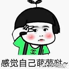 金晨|金晨没成团是和节目组谈崩了？